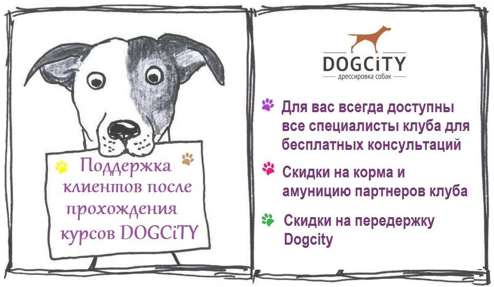 Поддержка после курсов.jpg