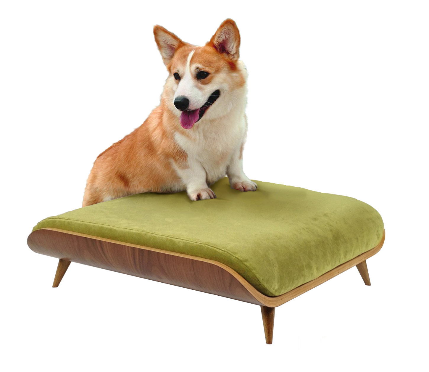 Cairu-Design-modern-dog-beds-1.jpg