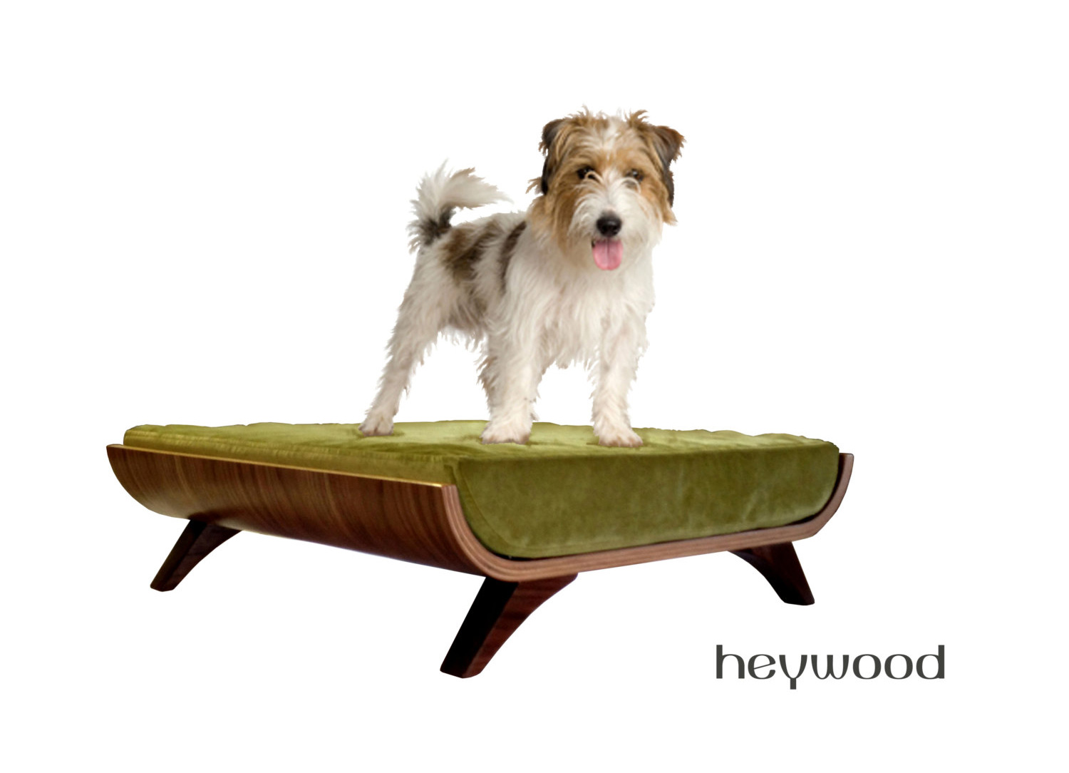 Cairu-Design-modern-dog-beds-4.jpg