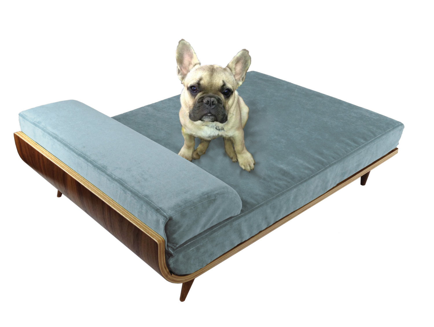 Cairu-Design-modern-dog-beds-2.jpg