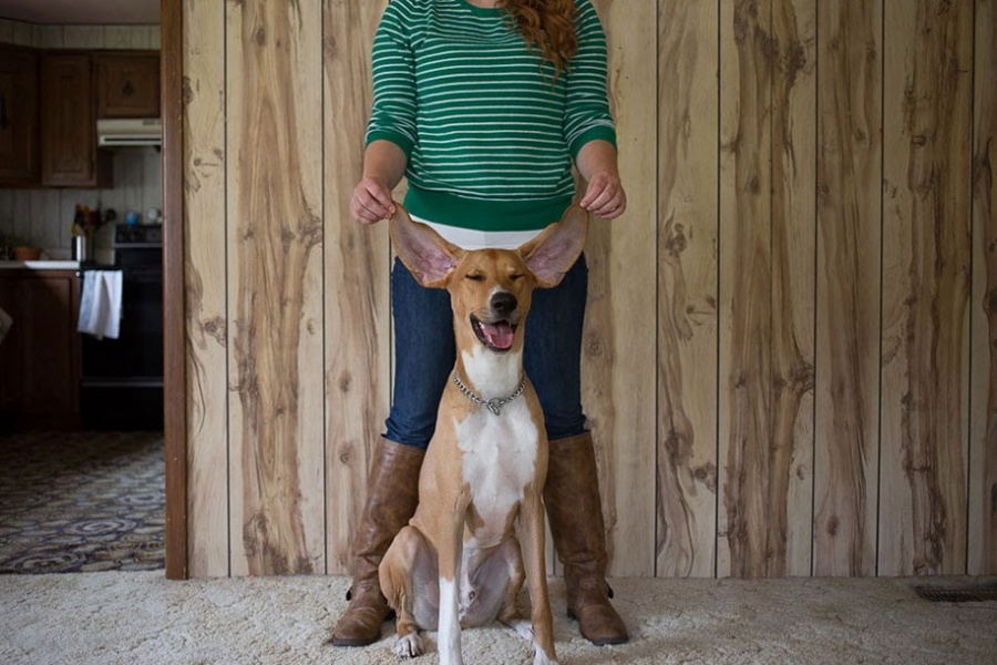 16465660-R3L8T8D-900-why-we-rescue-adopted-pets-theron-humphrey-32.jpg