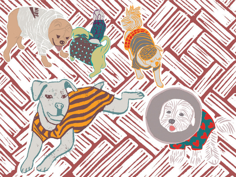 dog_print_art_illustratino_Moran_Pinchas_01.jpeg