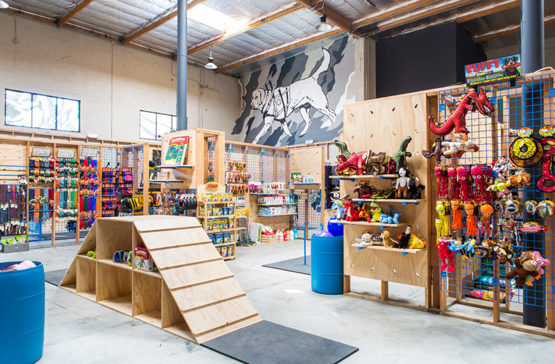 Blue_Collar_Working_Dog_retail_space_agility_course_Scout_Regalia_01.jpg