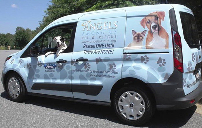 shelter-dogs-hug-photo-viral-save-life-euthanasia-kala-keira-angels-among-us-2.jpg