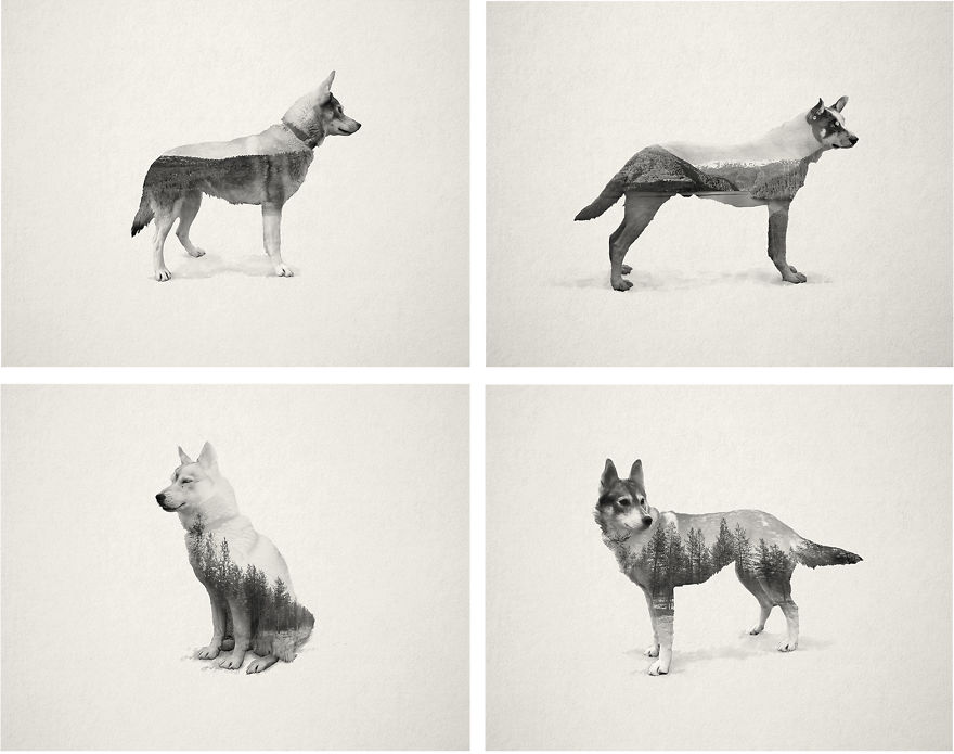 Group-Husky-Exposures__880.jpg