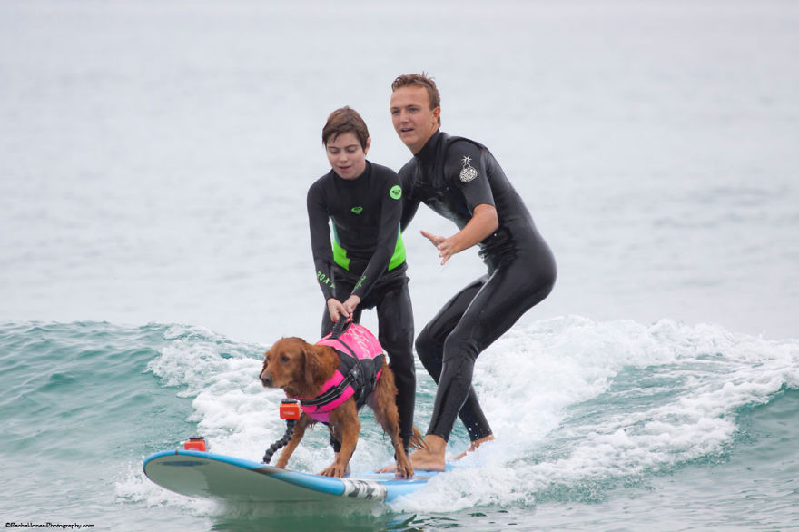 I-allowed-my-dog-to-be-who-she-truly-is-and-she-jumped-on-a-surfboard.-8__880.jpg