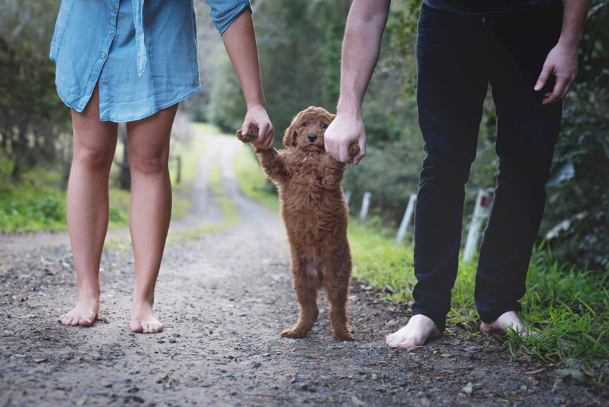 couple-newborn-dog-elisha-minnette-photography-12.jpg
