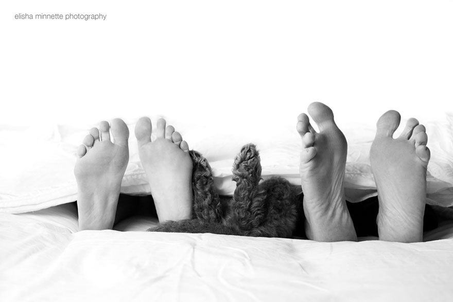 couple-newborn-dog-elisha-minnette-photography-15.jpg