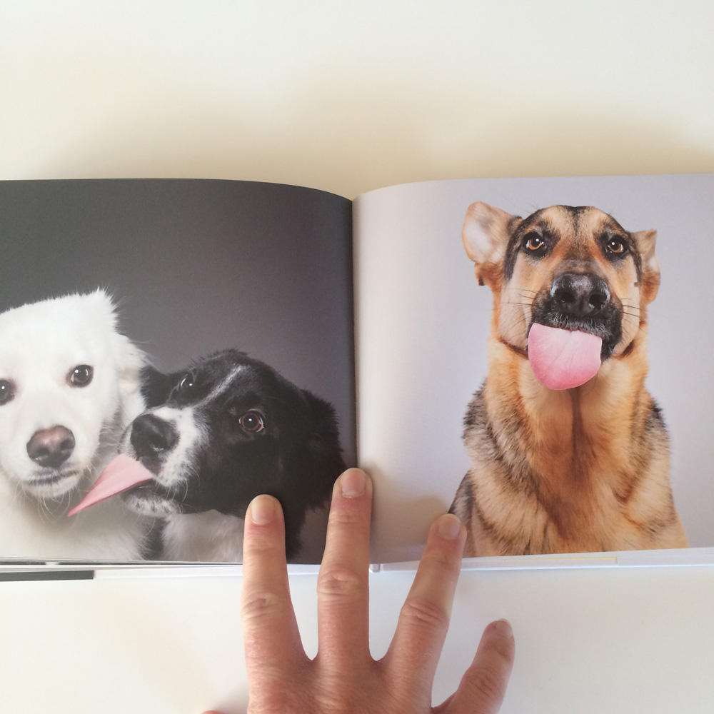 Ty-Foster-LICK-photography-book-5.jpg