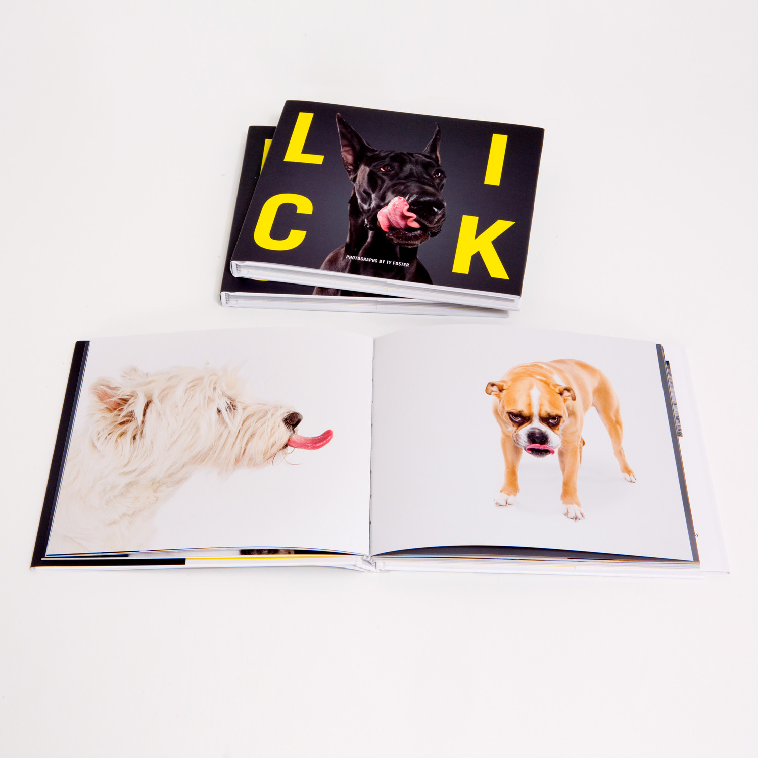 50048_Lick_Hero1.jpg