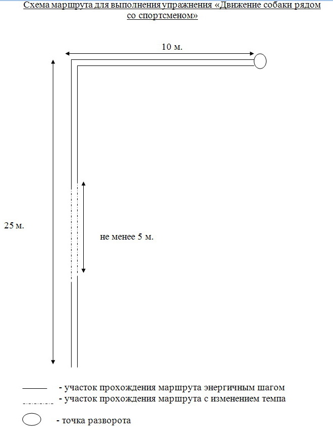 9507826.jpg
