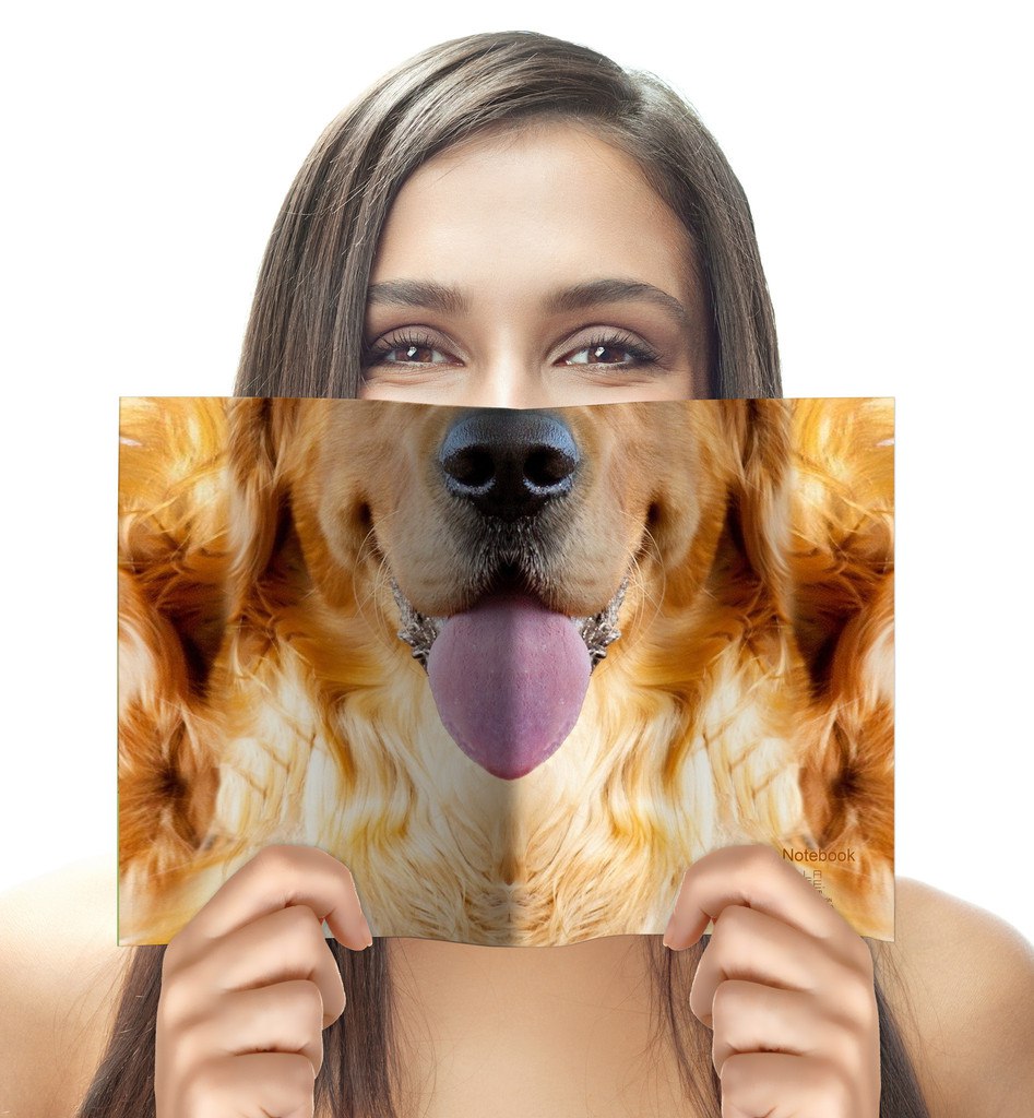 wbLnsjrT4b4.jpg