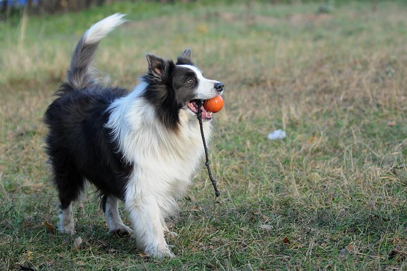 DSC_5183.JPG