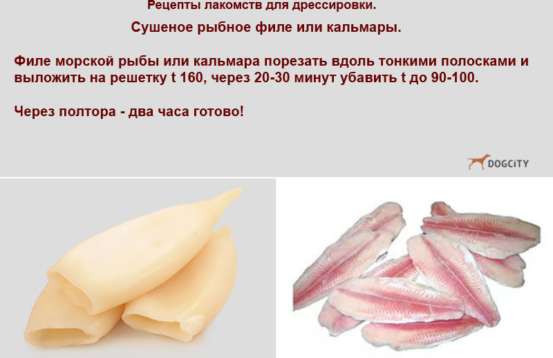 РецептыDogcity-рыба.jpg