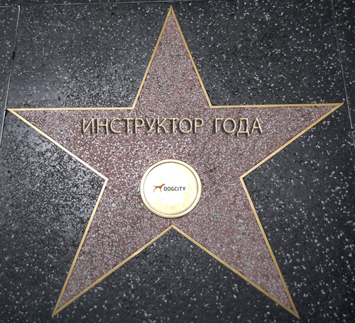 2016-1.jpg