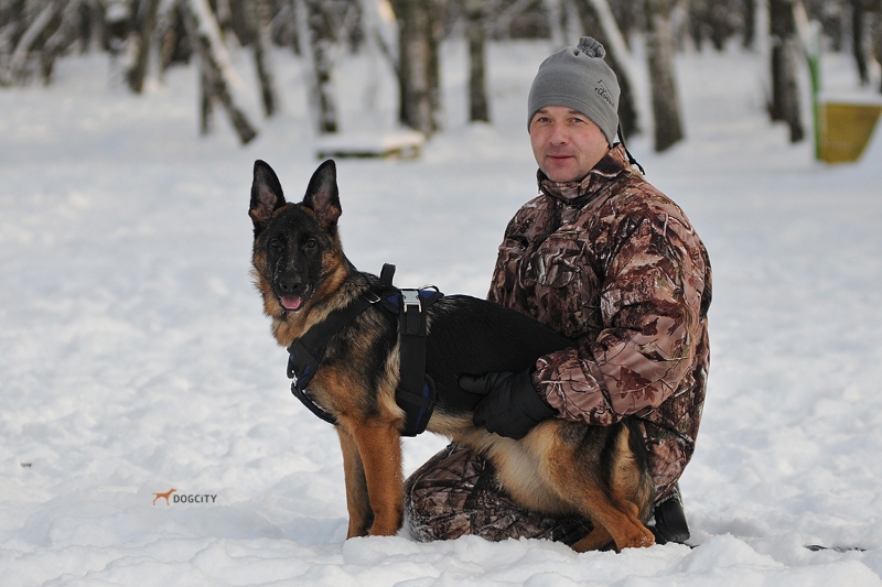 Дрессировка-собак_9247.jpg