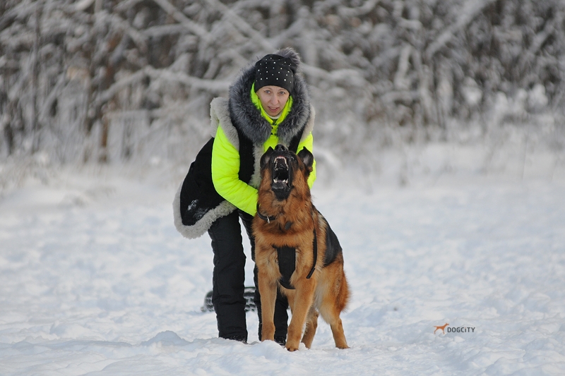 Дрессировка-собак_9270.jpg