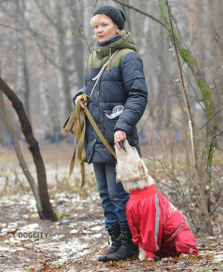 Дрессировка-собак_0319.jpg