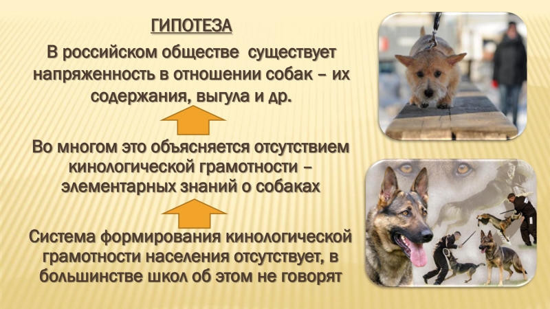 Презентация-итог-3.jpg