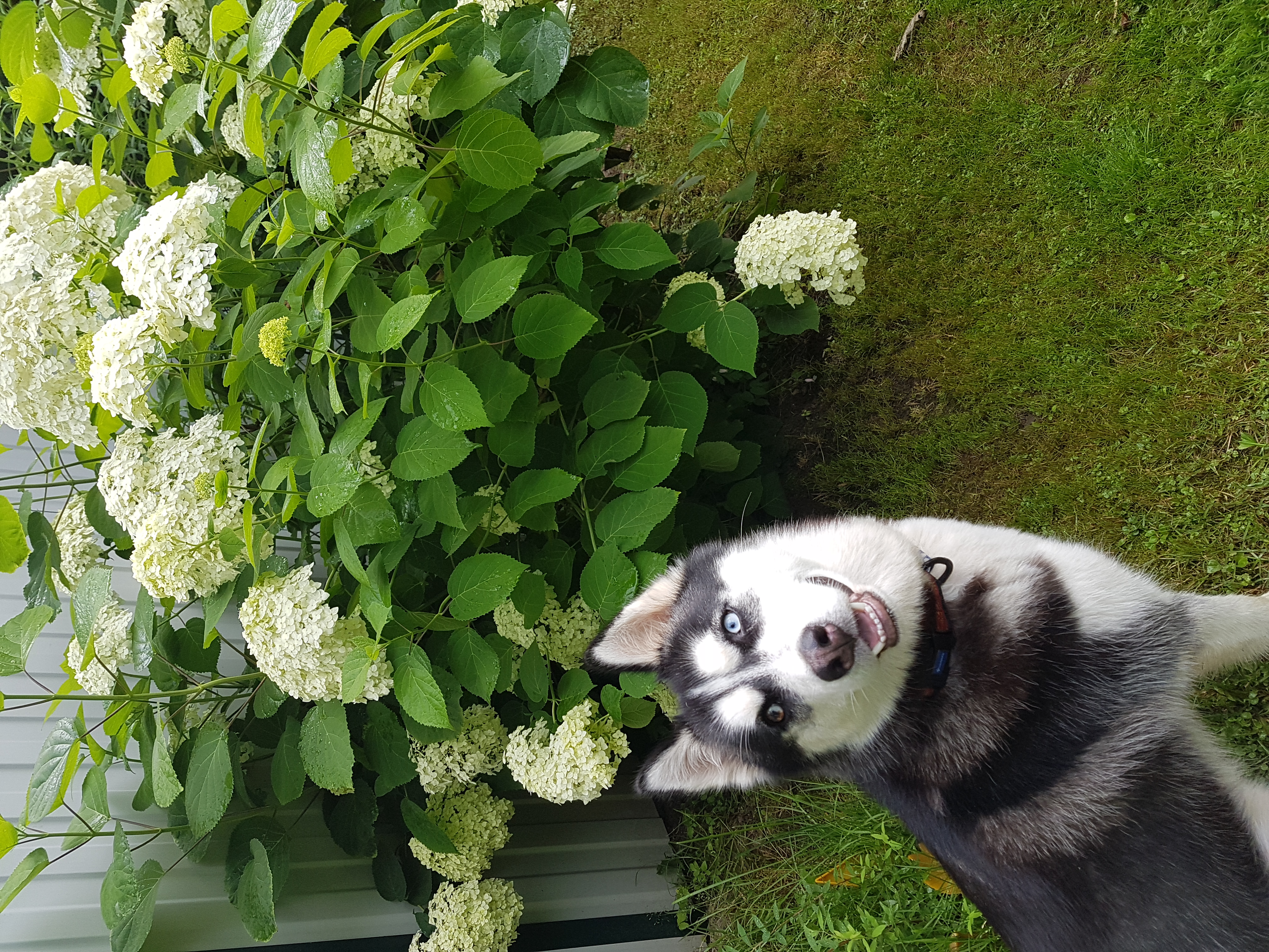 20170730_075557.jpg