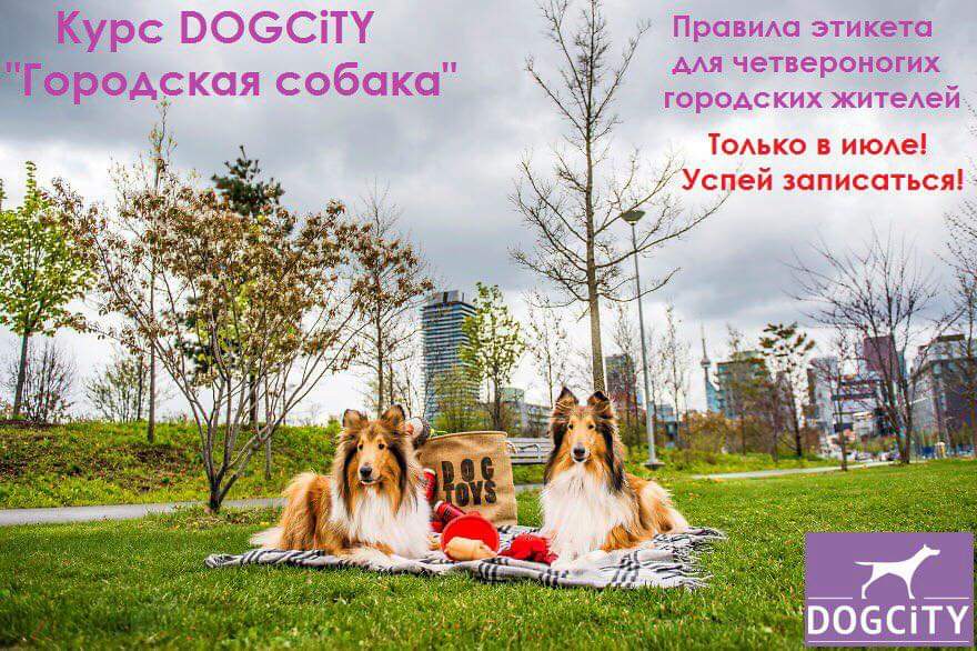 FB_IMG_1560510083057.jpg