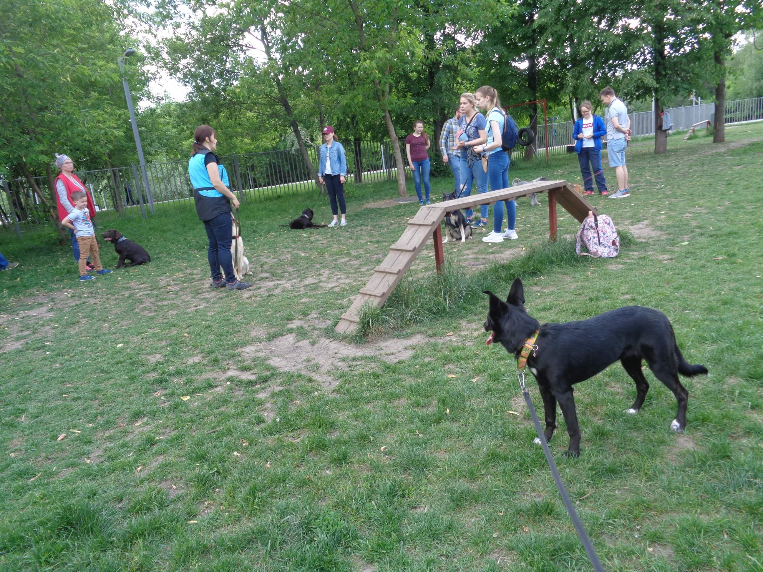 received_439830763478269.jpeg