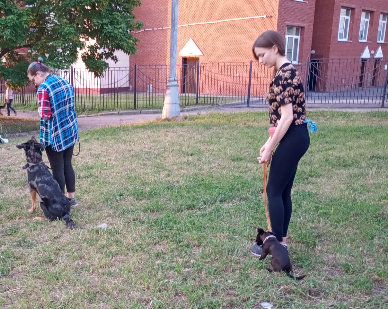 IMG-20190608-WA0005.jpg