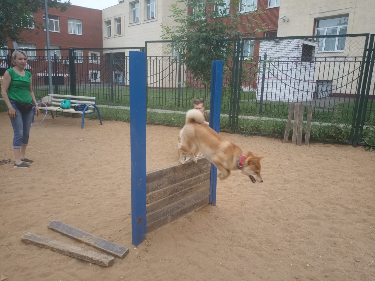 IMG-20190615-WA0011.jpg