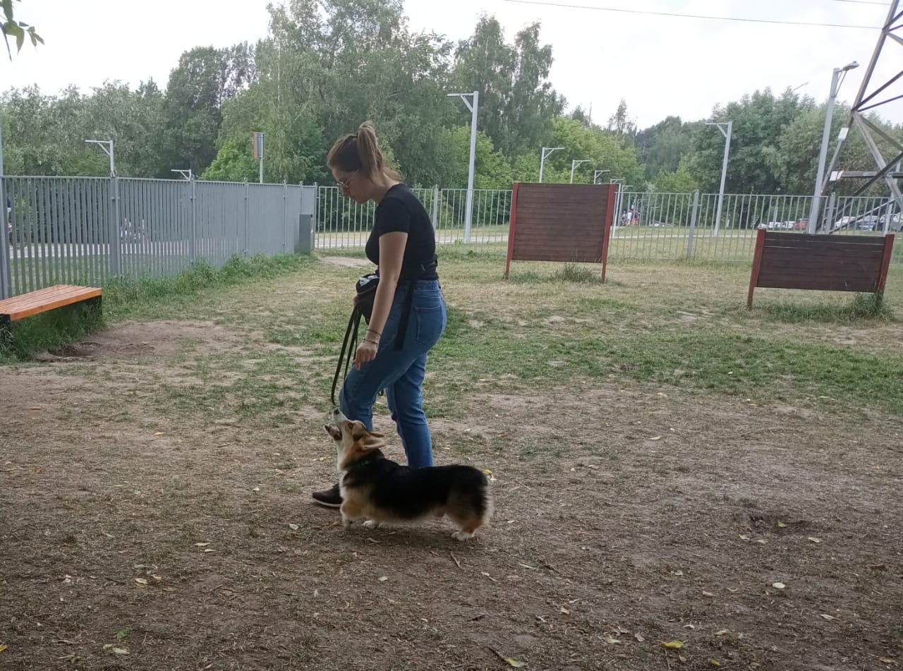 IMG-20190609-WA0006.jpg