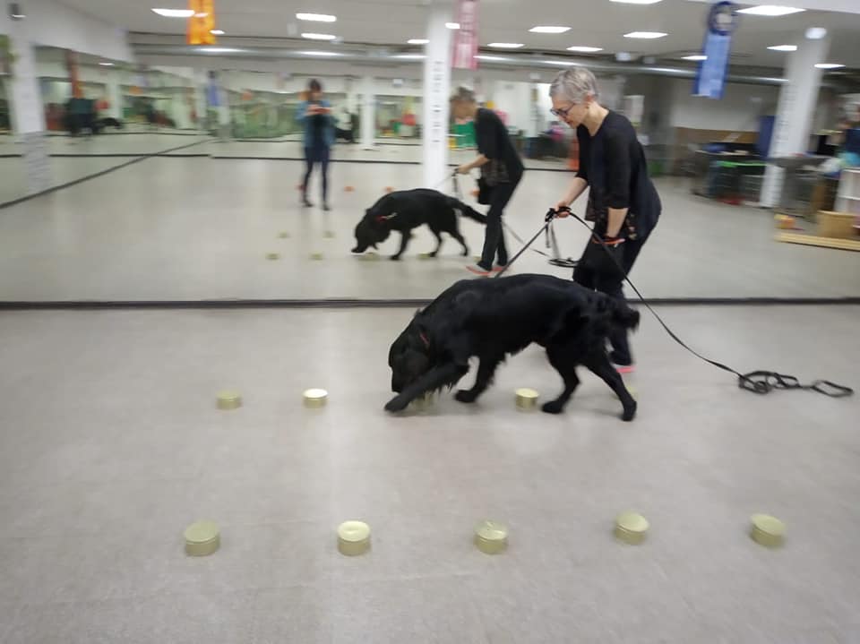 84354391_2526313867477448_1228381236729217024_n.jpg