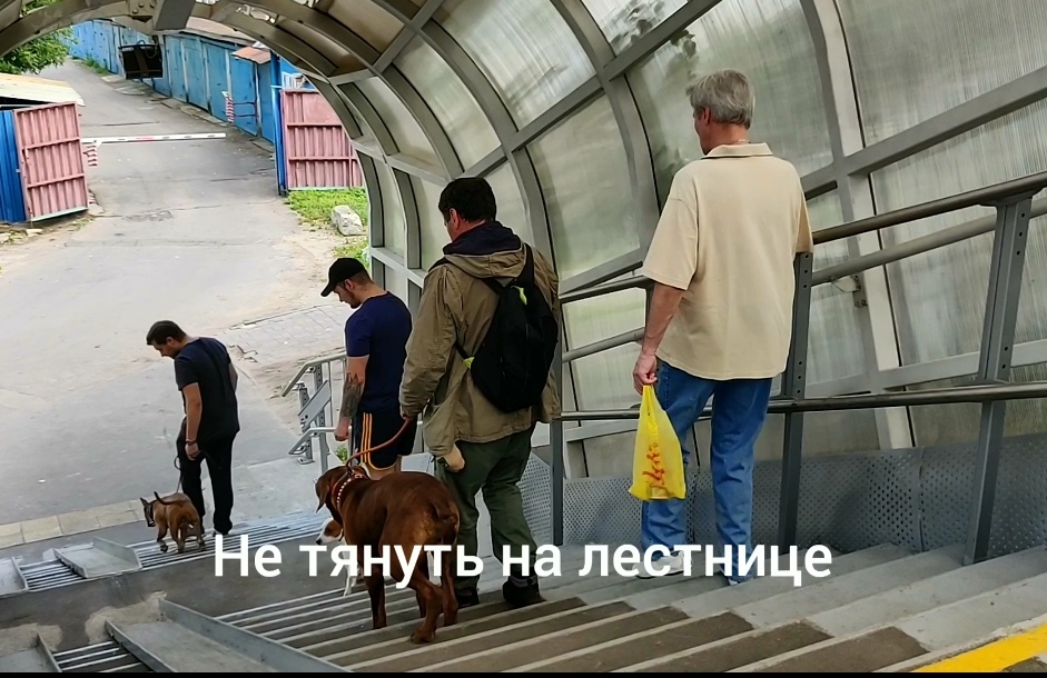 Screenshot_20220217-185434__01.jpg