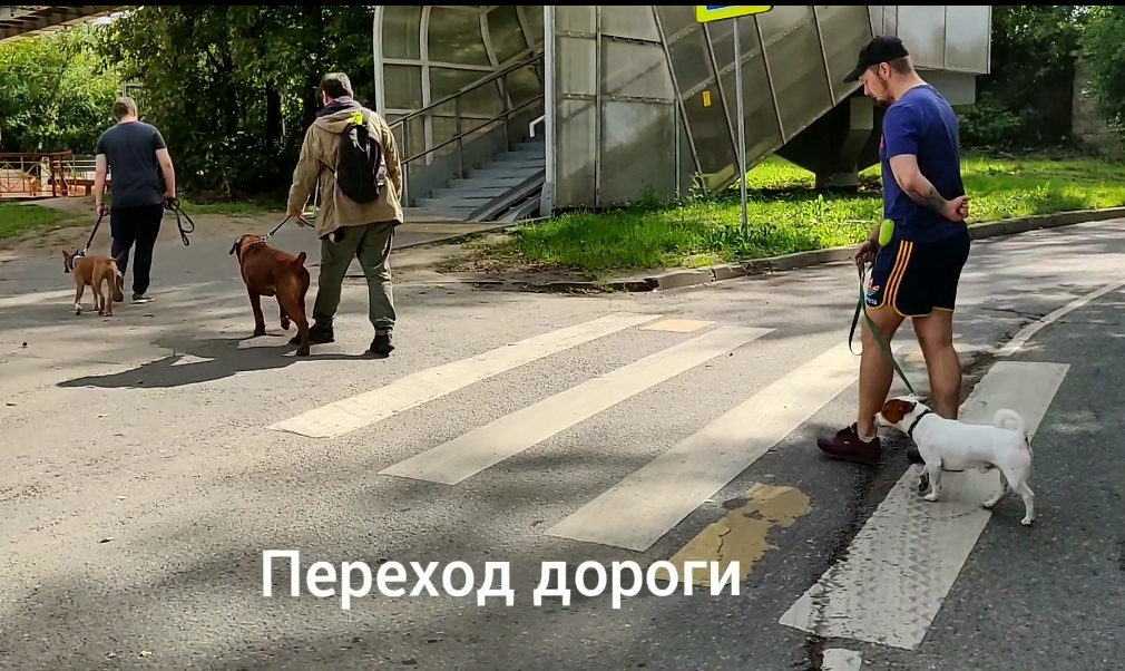 Screenshot_20220217-185543__01.jpg