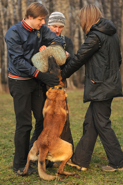 DSC_7080.JPG