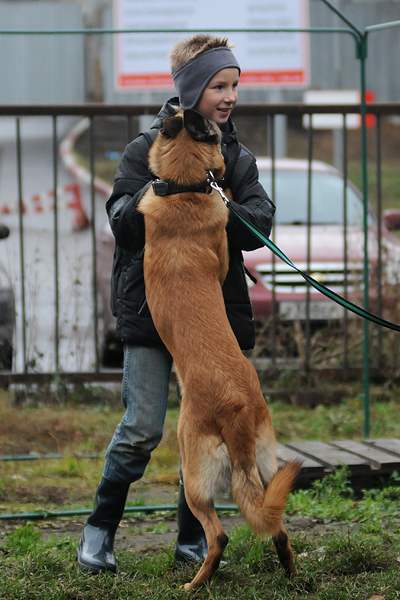 DSC_6504.JPG