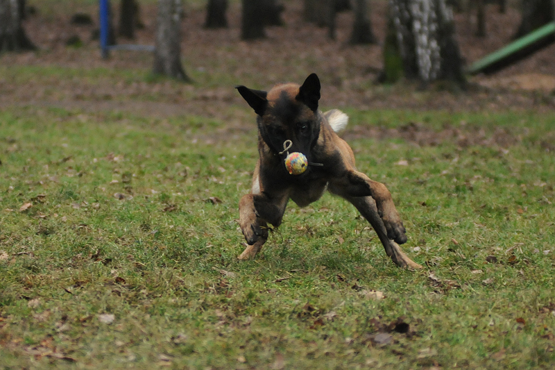 DSC_7166.JPG
