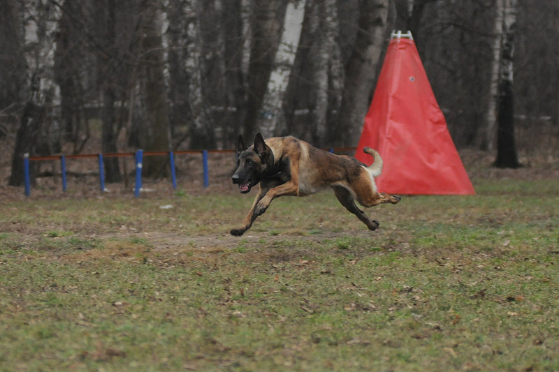 DSC_7178.JPG