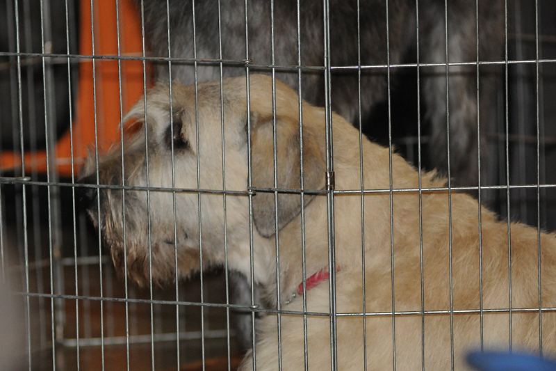DSC_8221.JPG