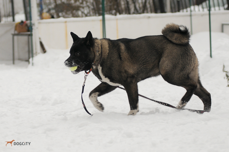 DSC_8521.JPG