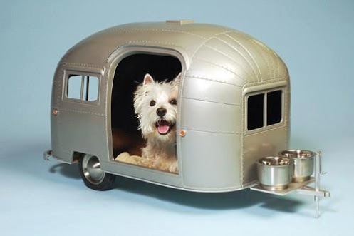 for pets.jpg