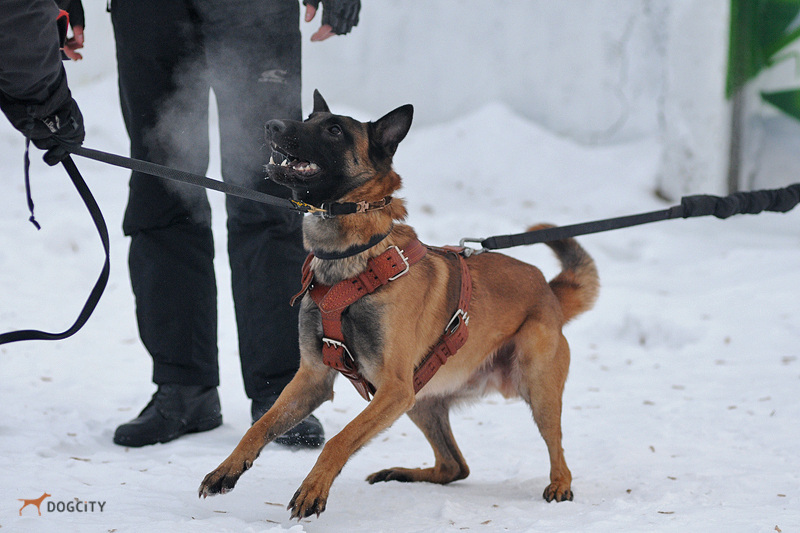 DSC_9455.JPG