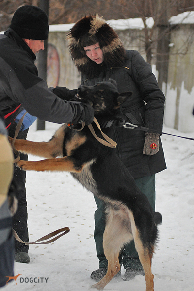 DSC_9594.JPG