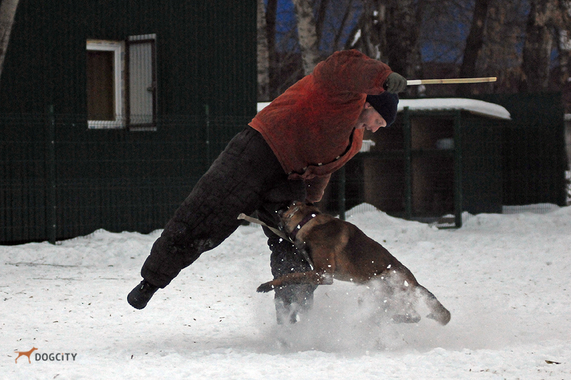 DSC_9715.JPG
