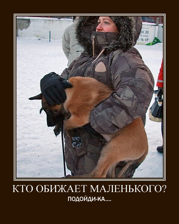 motivator0f414930228f3dc4b75e533b132718932a48616b.jpg
