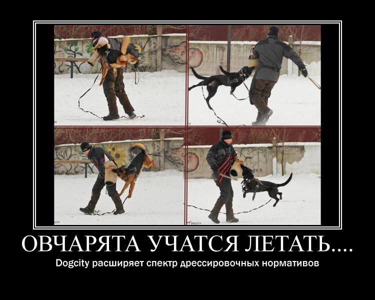 motivator63962d4776e88d73ab61af1083d05b3589a8e2a6.jpg