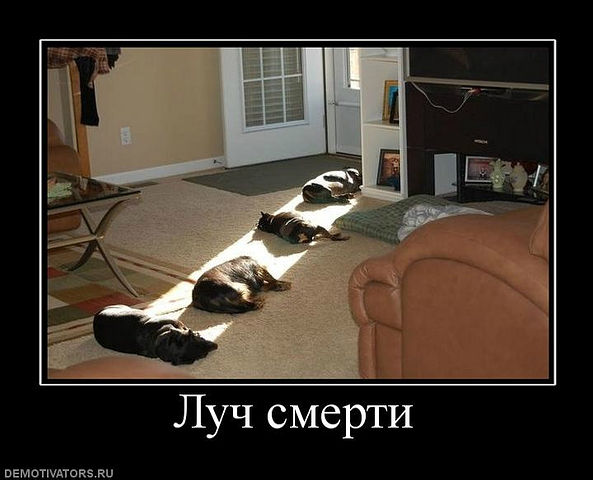 getImage (1).jpg