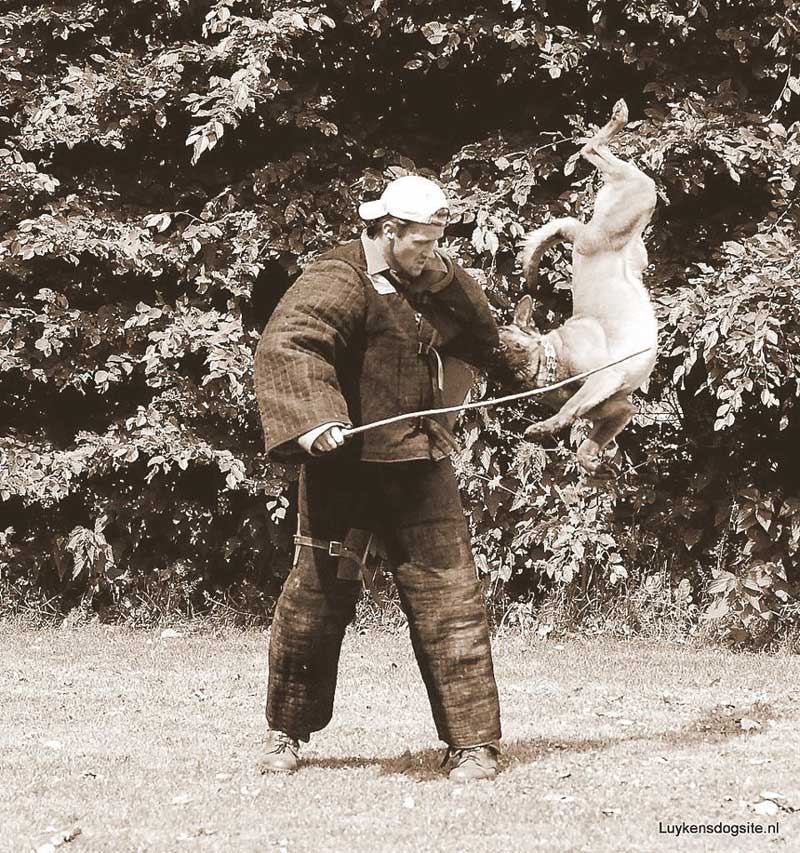 38.jpg
