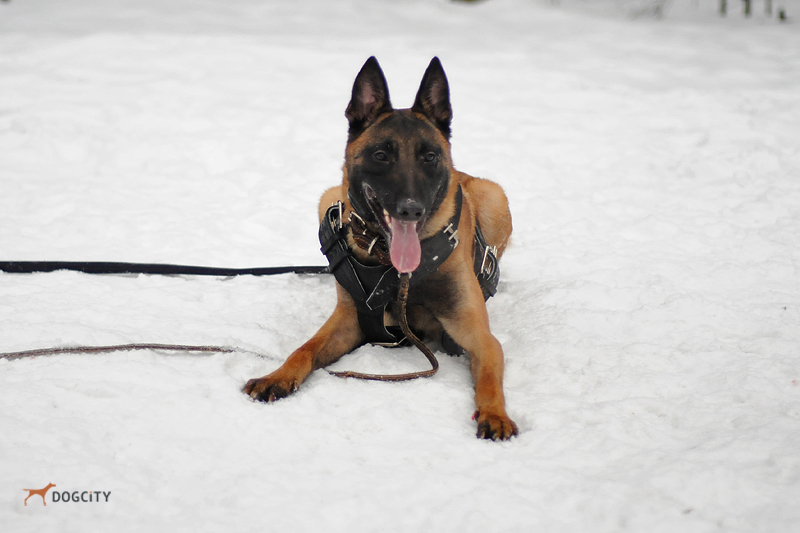 DSC_2286.JPG