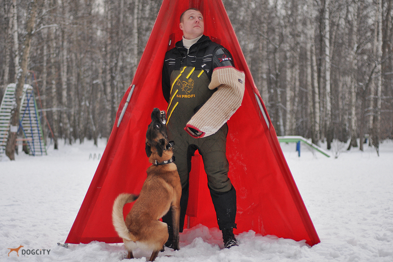 DSC_2343.JPG