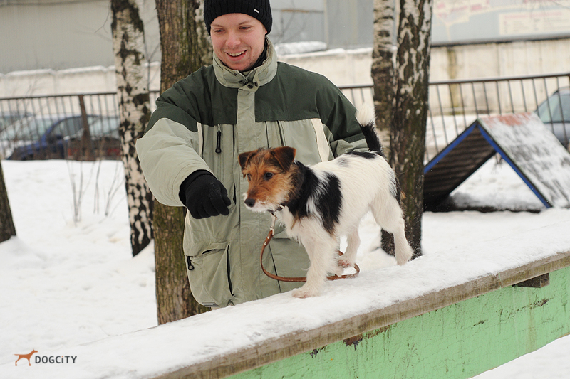 DSC_2938.JPG