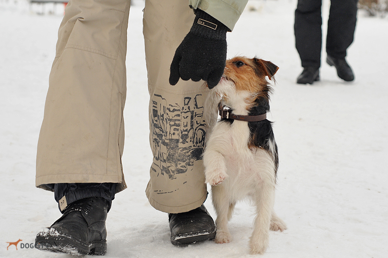 DSC_2965.JPG